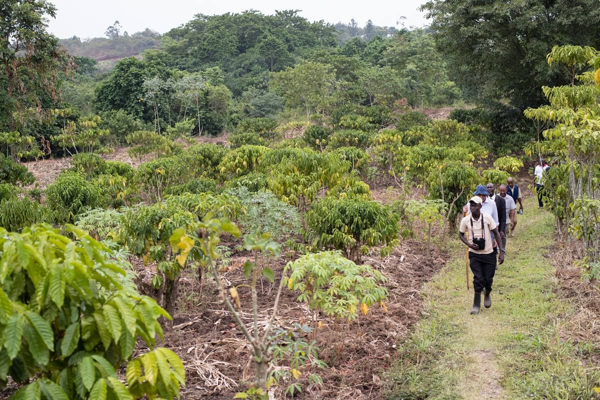 Kyambura Wetland Walk