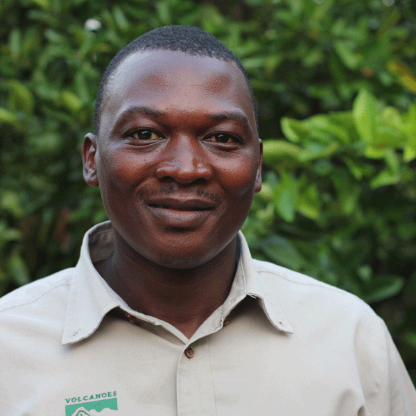 Volcanoes Safaris Guide, Uganda