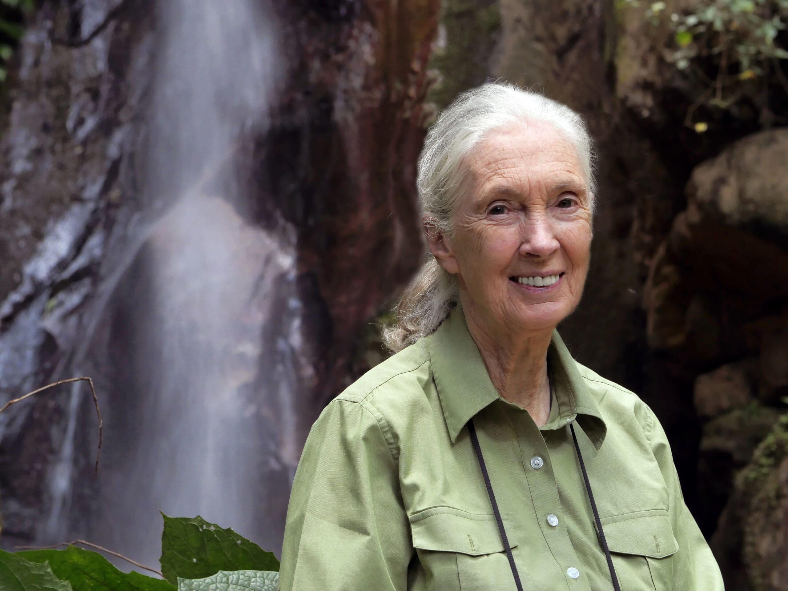 Jane Goodall
