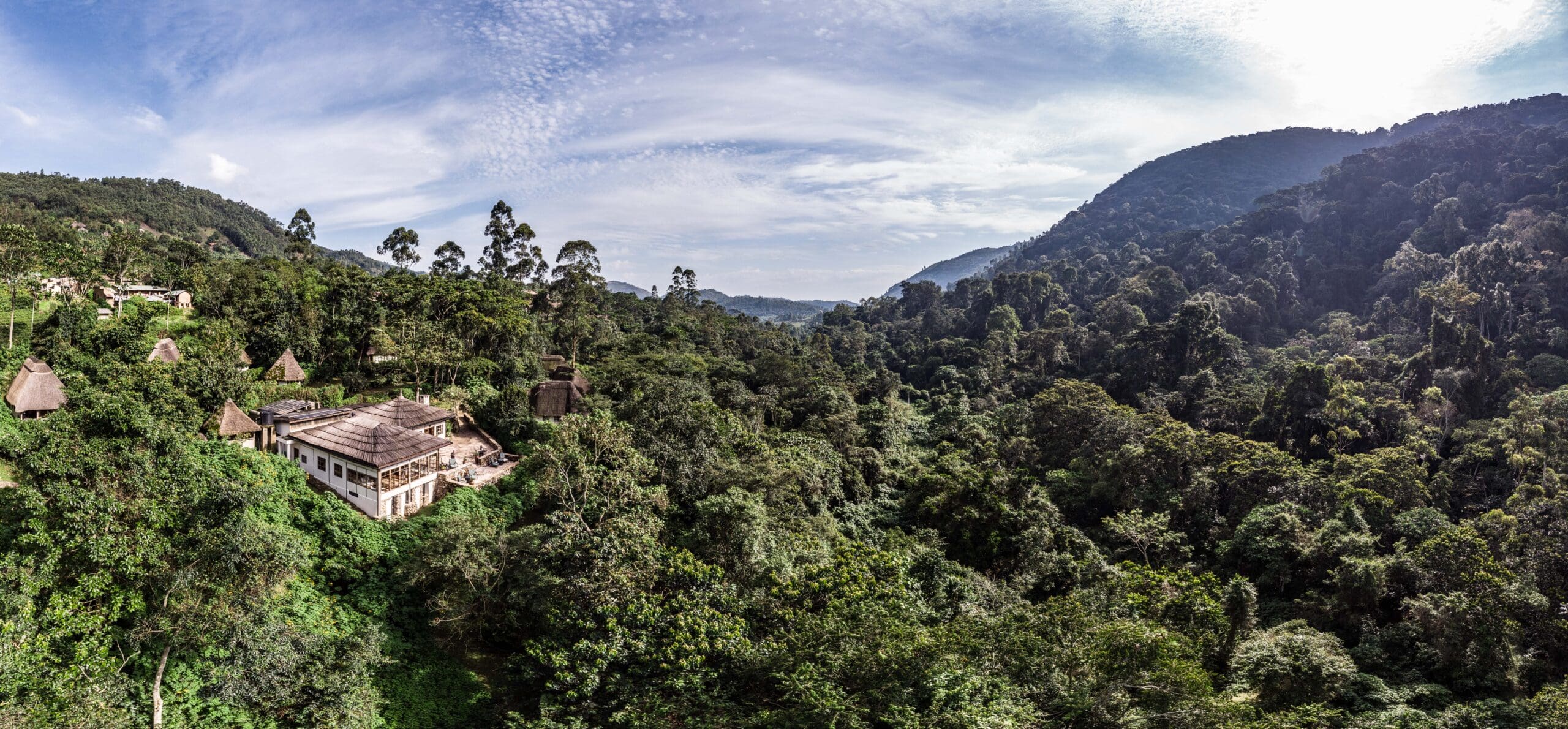 Sinamatella - Uganda - Bwindi - Pano - 2