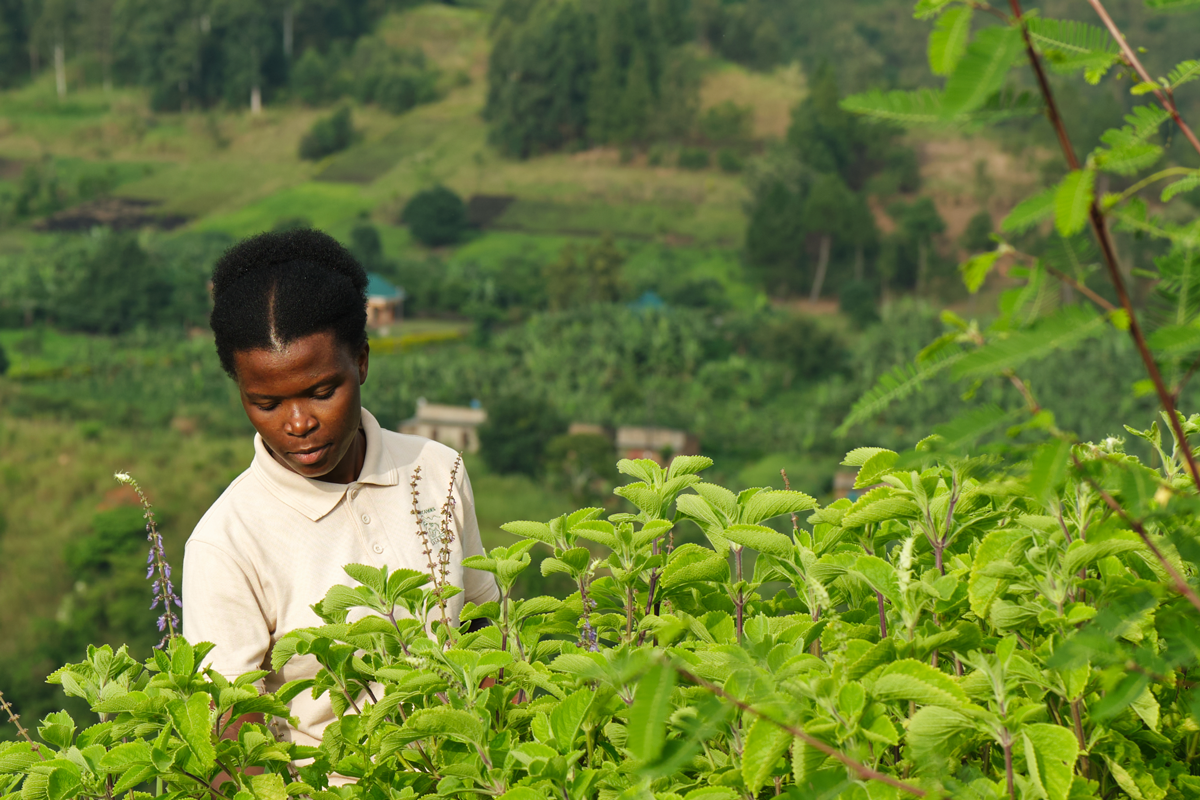 14---Kibale-Lodge---Celine--AA29042024_VolcanoesSafaris_5703