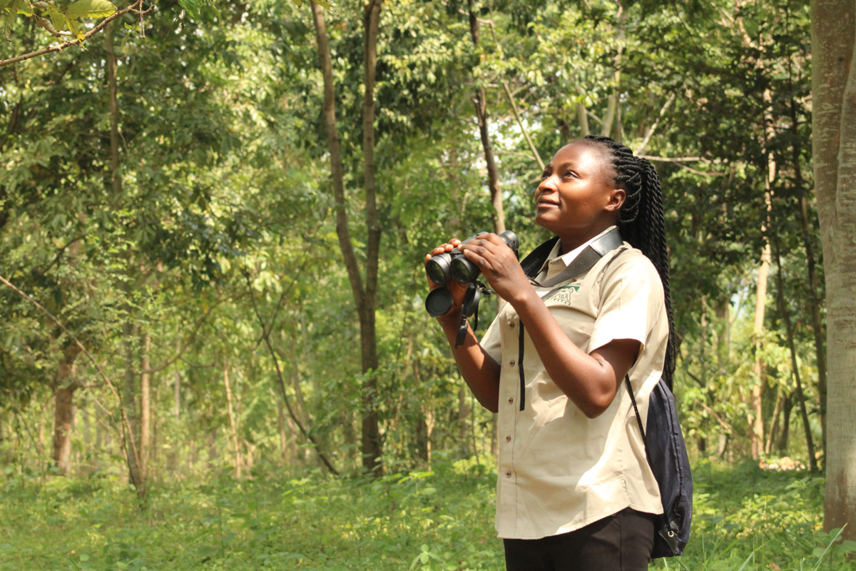 Volcanoes-Safaris-Birding-IMG-7133