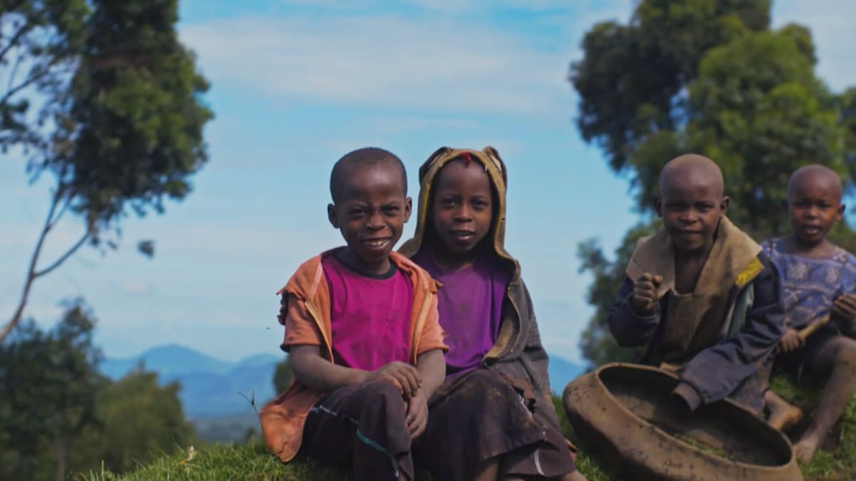 volcanoes safaris 25th anniversary eco tourism albertine rift film cover