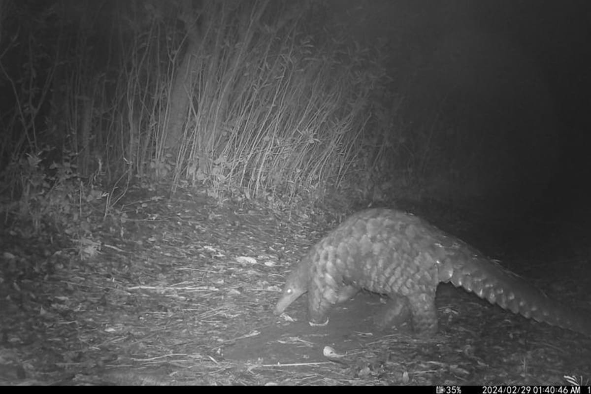 WhatsApp Image 2024 03 18 at 12.43.00 PM