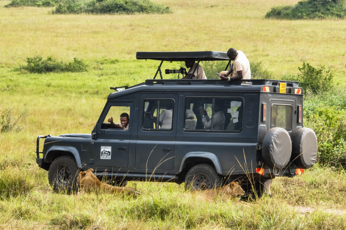 Lion Monitoring Team-DJI_0008