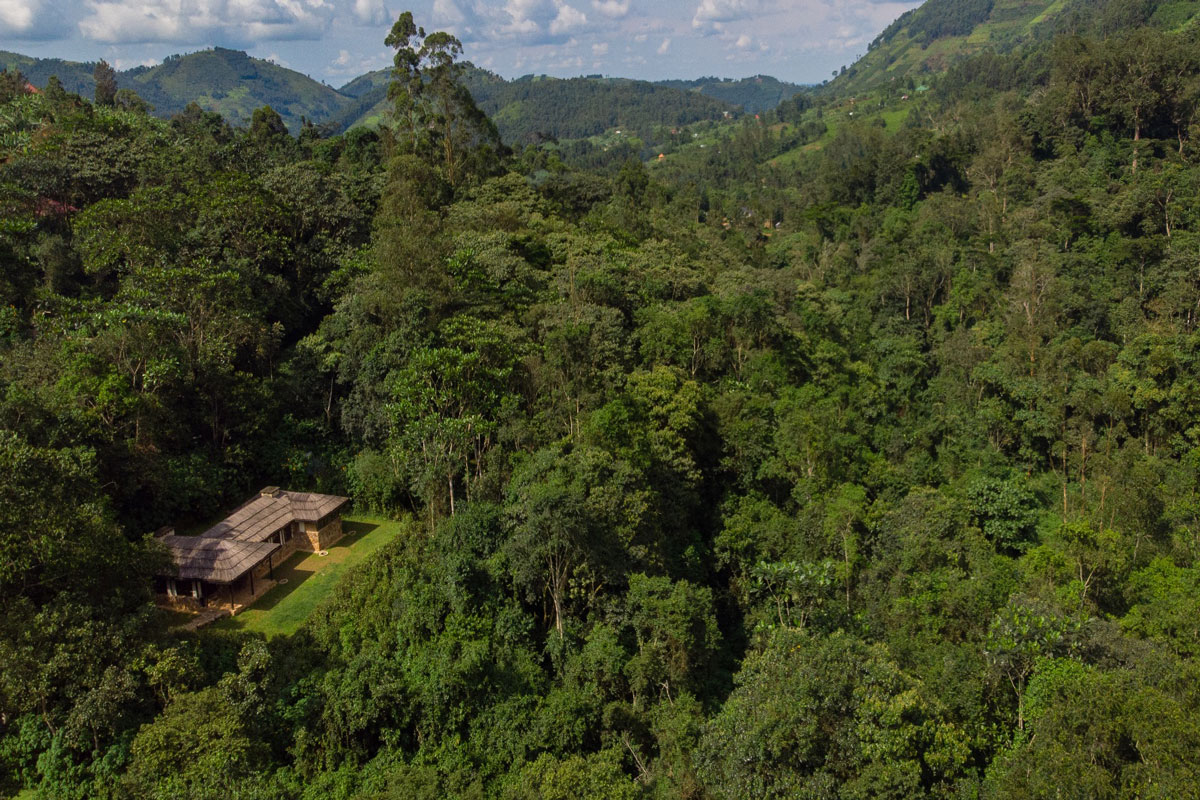 Bwindi-edited-Image-2025-05-13-at-10.08.12