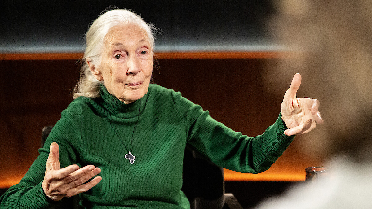 Dr. Jane Goodall